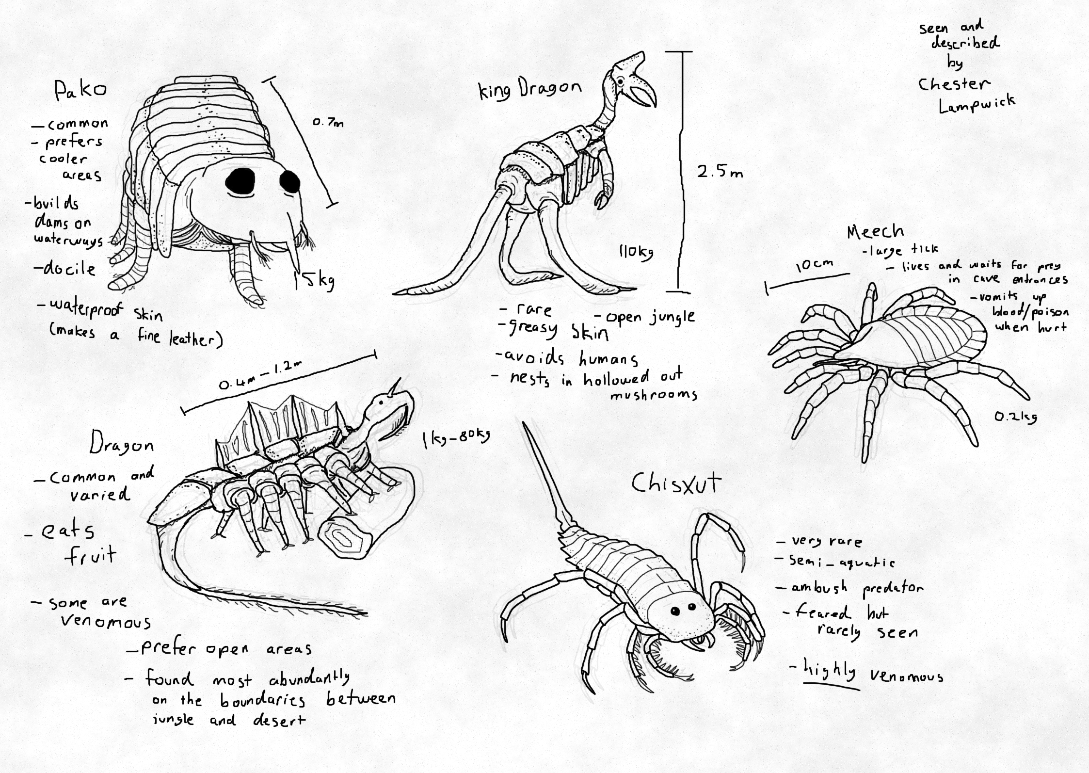 illustraions of various Salver creatures